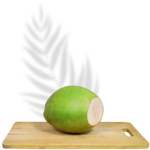 Tender Coconut Medium