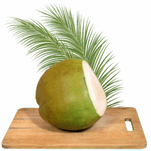 Tender Coconut Large